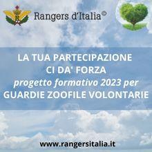 Rangers italia