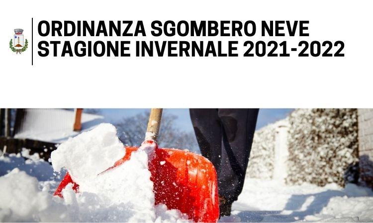 immagine rappresentativa