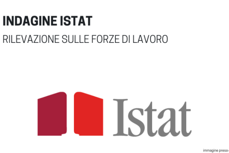 Indagine istat